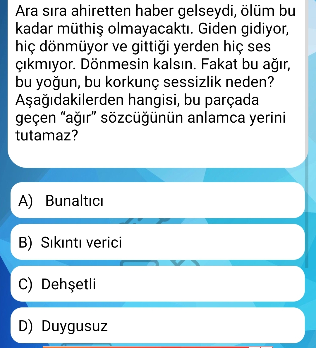 Soru Görseli